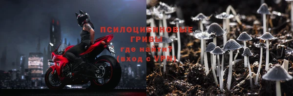 PSILOCYBIN Алексин