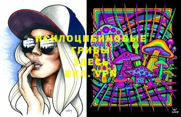 эйфоретик Алексеевка