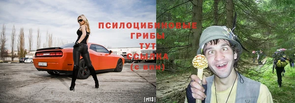 кокс Алзамай